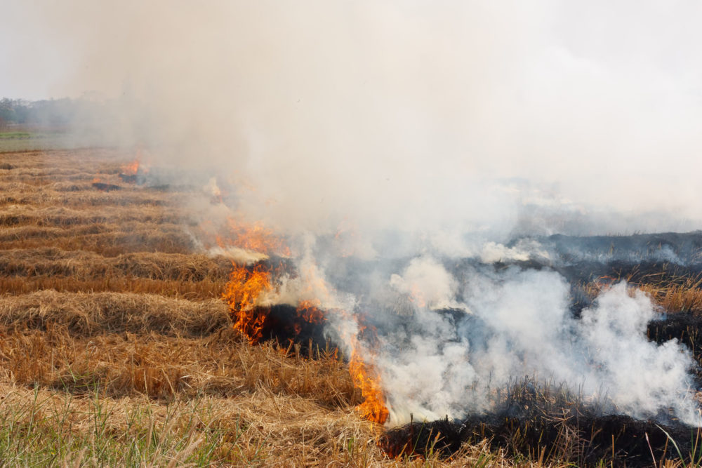 total loss fire claim natural disaster